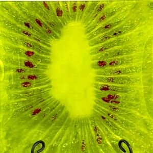 Unique Vintage 12”x12” Prima Donna Kiwi Serving Platter